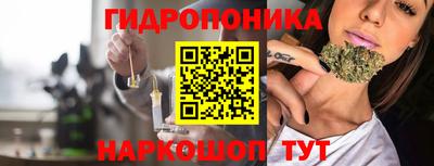 гашик Малгобек