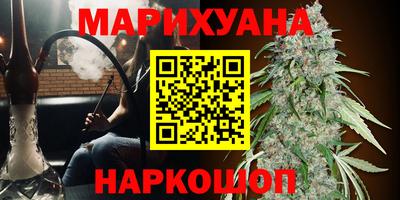 гашик Малгобек