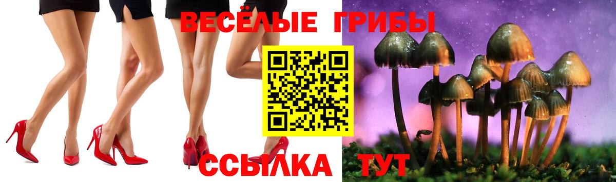 Иваново  Галлюциногенные грибы ЛСД  Вход с VPN 